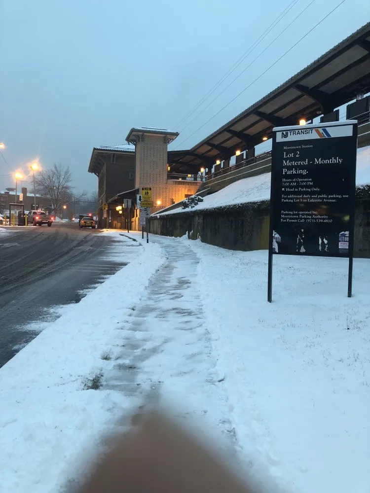 Custom outdoor landscaping experts serving Belleville, NJ - Family Landscaping and Pavers