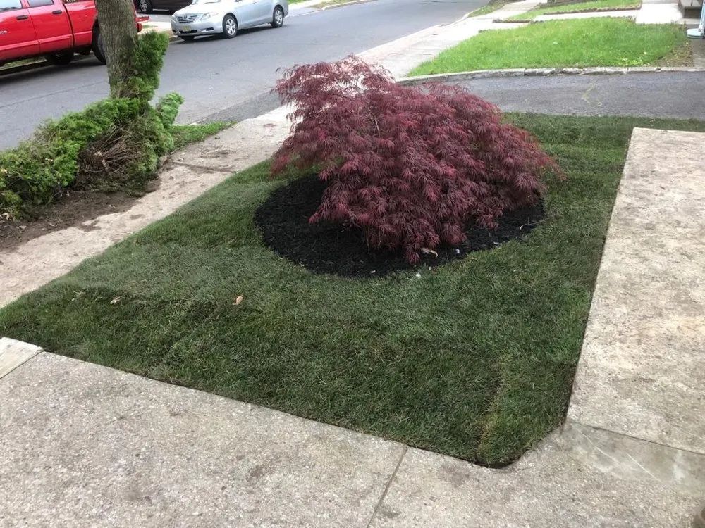 Professional outdoor landscaping with custom design in Belleville, NJ by Family Landscaping and Pavers