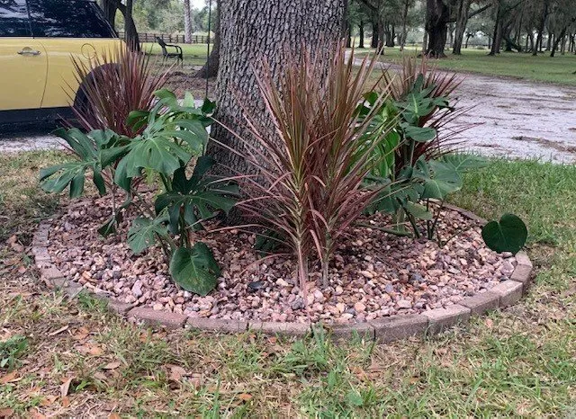 Custom yard cleanup service in Arcadia, FL by Family Landscaping