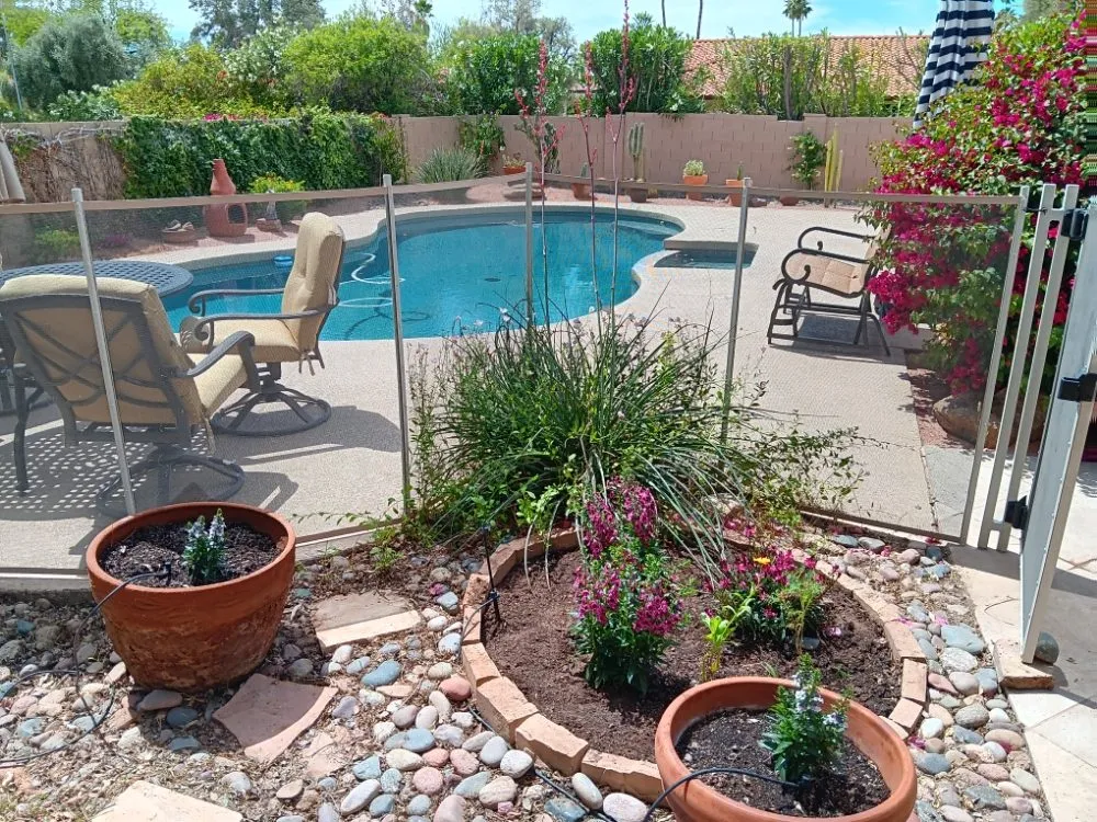 Expert garden landscaping for year-round maintenance across Phoenix, AZ - Family Landscaping