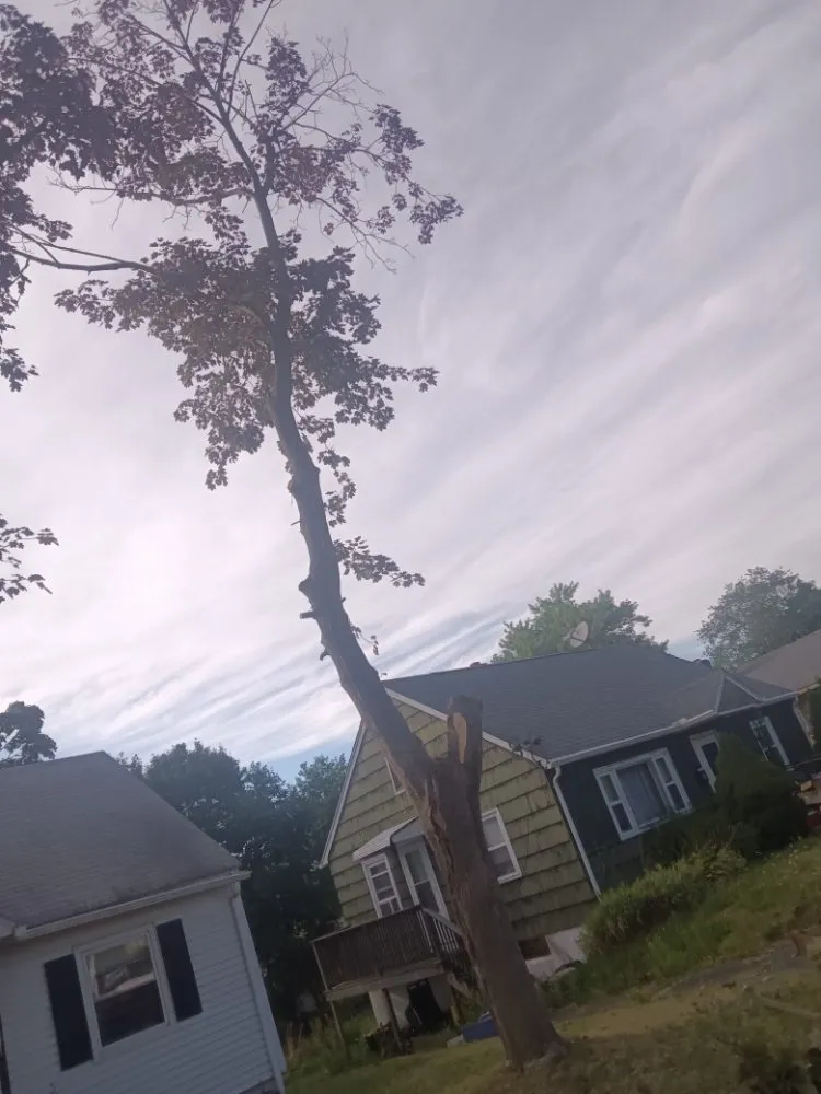 Top-rated outdoor landscaping near you across Middlefield, CT - Family Landscaping Service