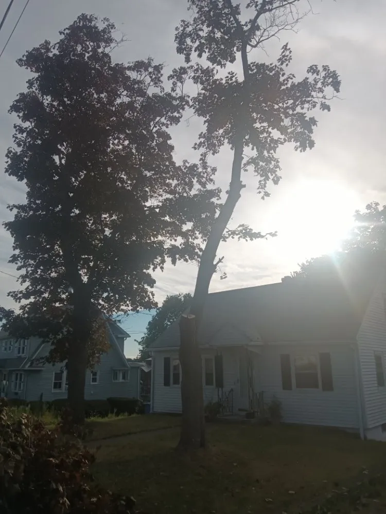 Top-rated yard maintenance near you in Middlefield, CT by Family Landscaping Service