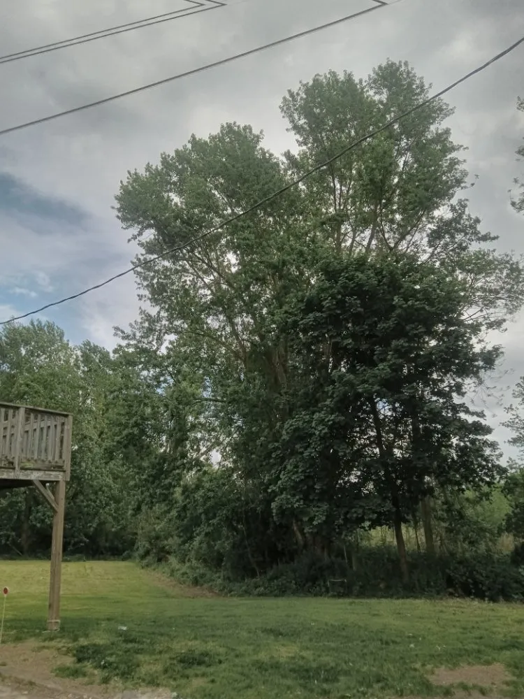 Custom landscape installation for outdoor upgrades across Middlefield, CT - Family Landscaping Service