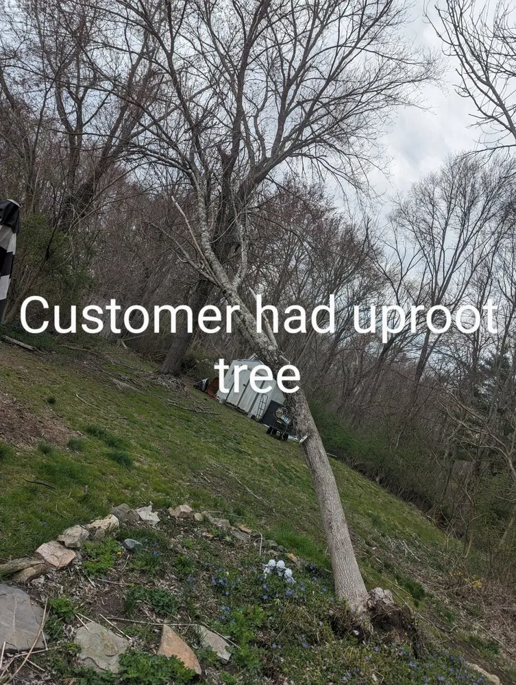 Top-rated yard maintenance for residential properties across Plainfield, CT - Family Lawn And Tree Service