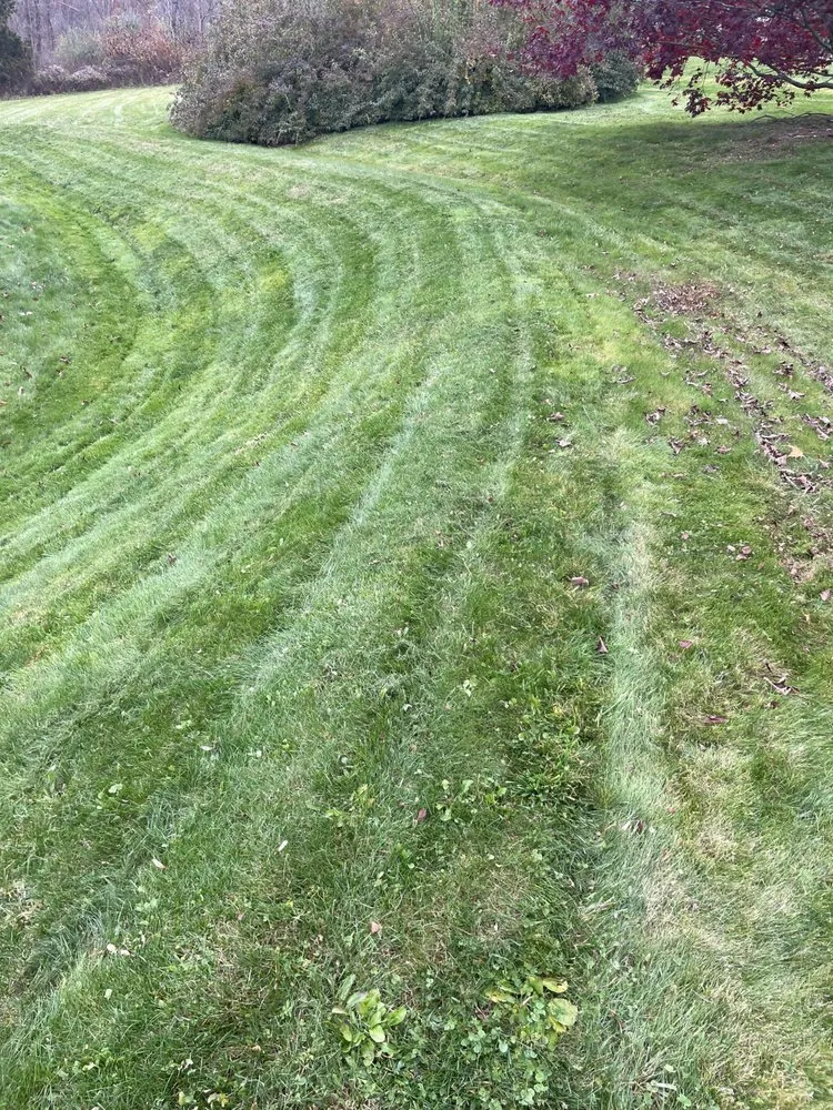 Local yard cleanup service in Plainfield, CT - Family Lawn And Tree Service