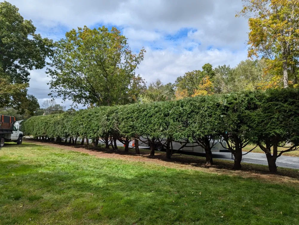 Reliable yard cleanup service experts serving Plainfield, CT - Family Lawn And Tree Service