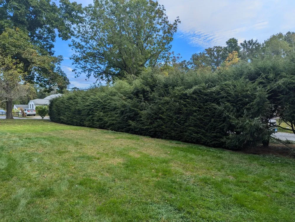 Custom yard cleanup service for residential properties in Plainfield, CT by Family Lawn And Tree Service