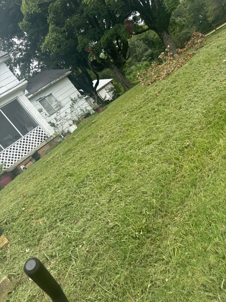 Affordable yard cleanup service in Cleveland, TN by Family Lawn Care