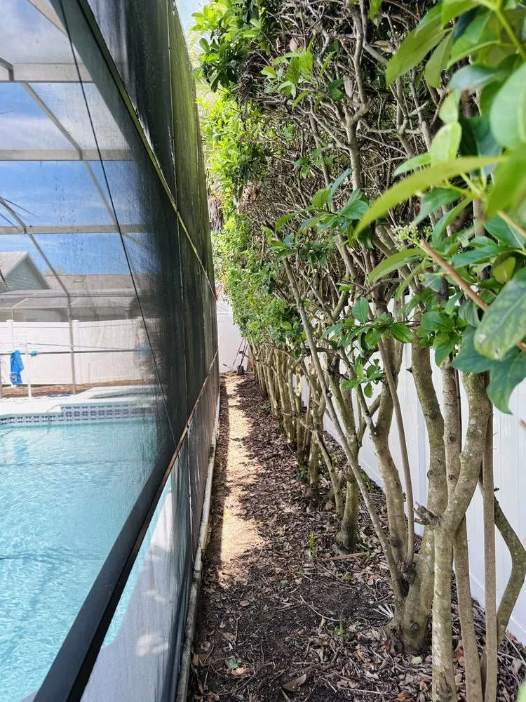 Top-rated garden landscaping for beautiful yards in Kissimmee, FL by Family Lawn Care