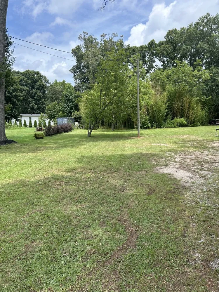 Affordable yard maintenance near you in Piedmont, SC by Family Lawn Care