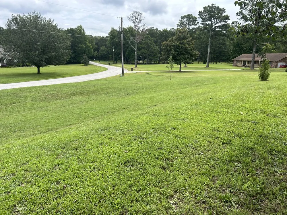 Affordable yard maintenance for beautiful yards across Piedmont, SC - Family Lawn Care