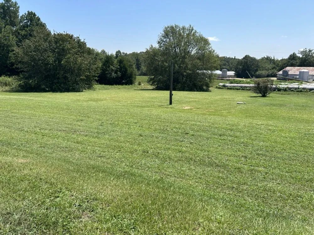 Trusted outdoor landscaping experts serving Piedmont, SC - Family Lawn Care