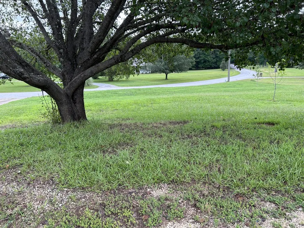 Custom lawn mowing service for residential properties in Piedmont, SC by Family Lawn Care