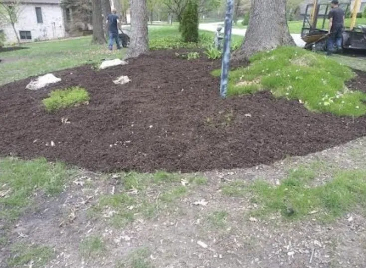 Trusted lawn care service experts serving Portage, IN - Family Lawn Care Services