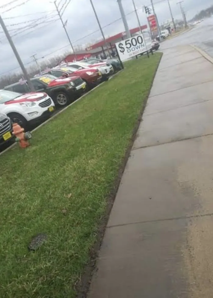 Custom landscaping services in Portage, IN by Family Lawn Care Services