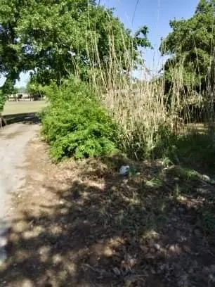 Trusted yard maintenance with custom design across Bowie, TX - Family Lawn Service