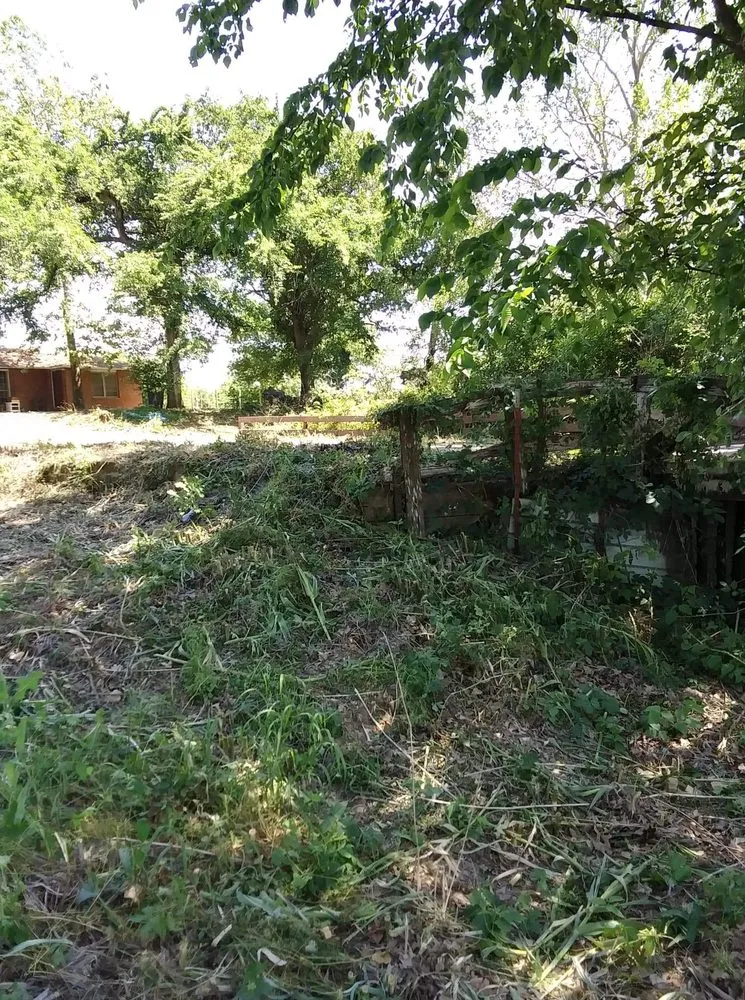 Professional yard cleanup service for beautiful yards in Bowie, TX by Family Lawn Service