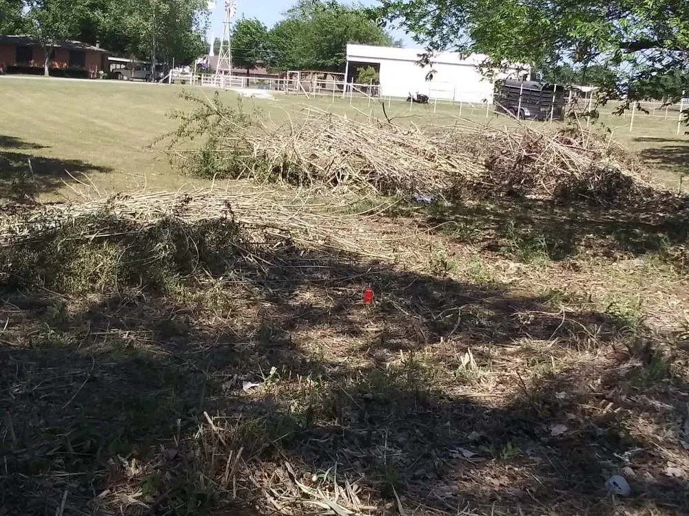 Professional residential landscaping in Bowie, TX by Family Lawn Service