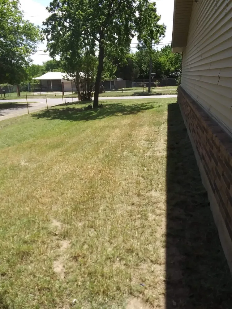 Top-rated lawn mowing service for beautiful yards across Bowie, TX - Family Lawn Service