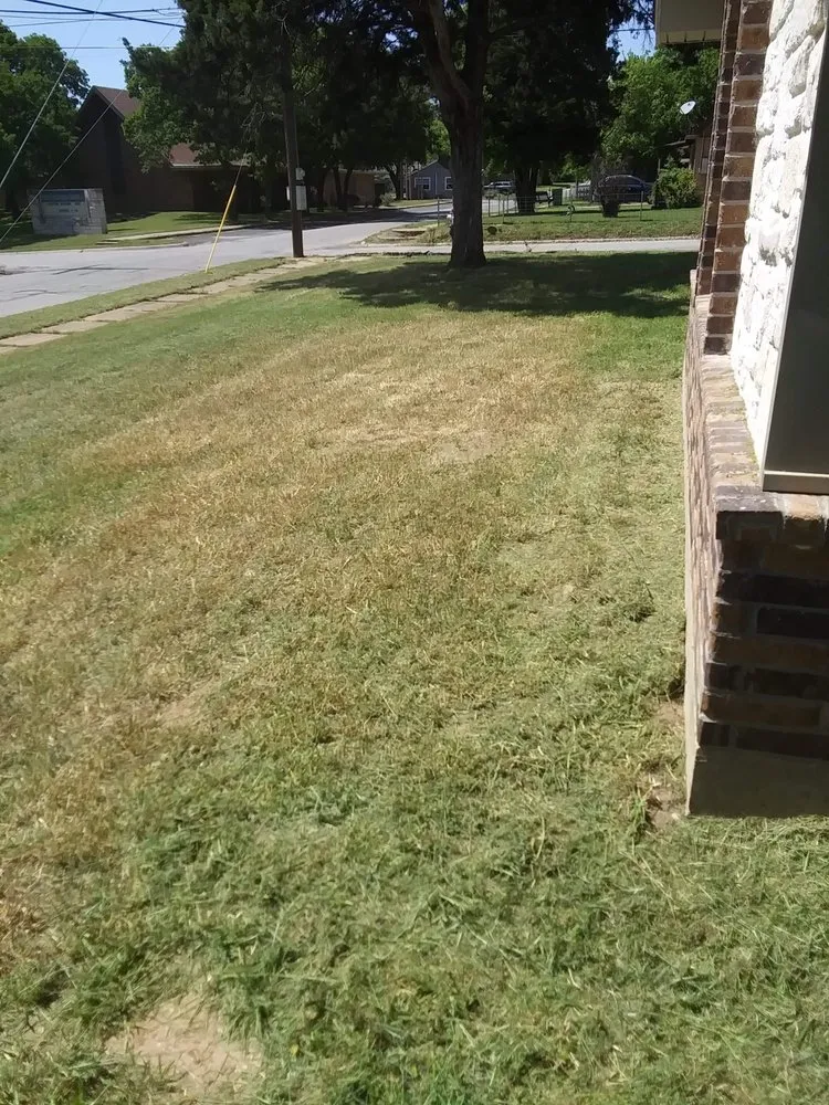 Professional lawn mowing service in Bowie, TX - Family Lawn Service
