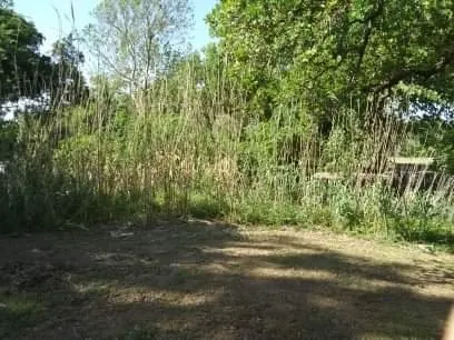 Affordable yard cleanup service in Bowie, TX - Family Lawn Service