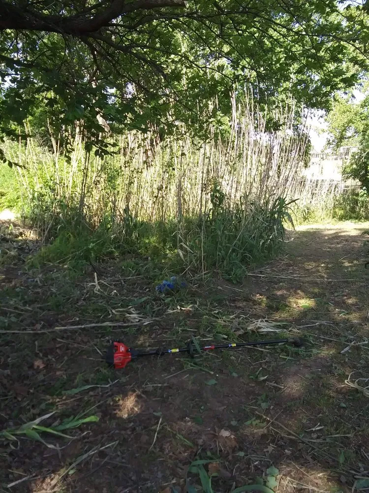 Expert lawn mowing service in Bowie, TX - Family Lawn Service