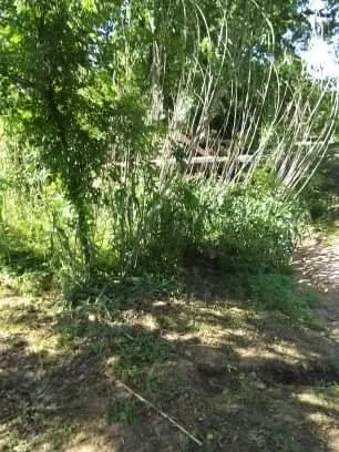 Reliable garden landscaping experts serving Bowie, TX - Family Lawn Service