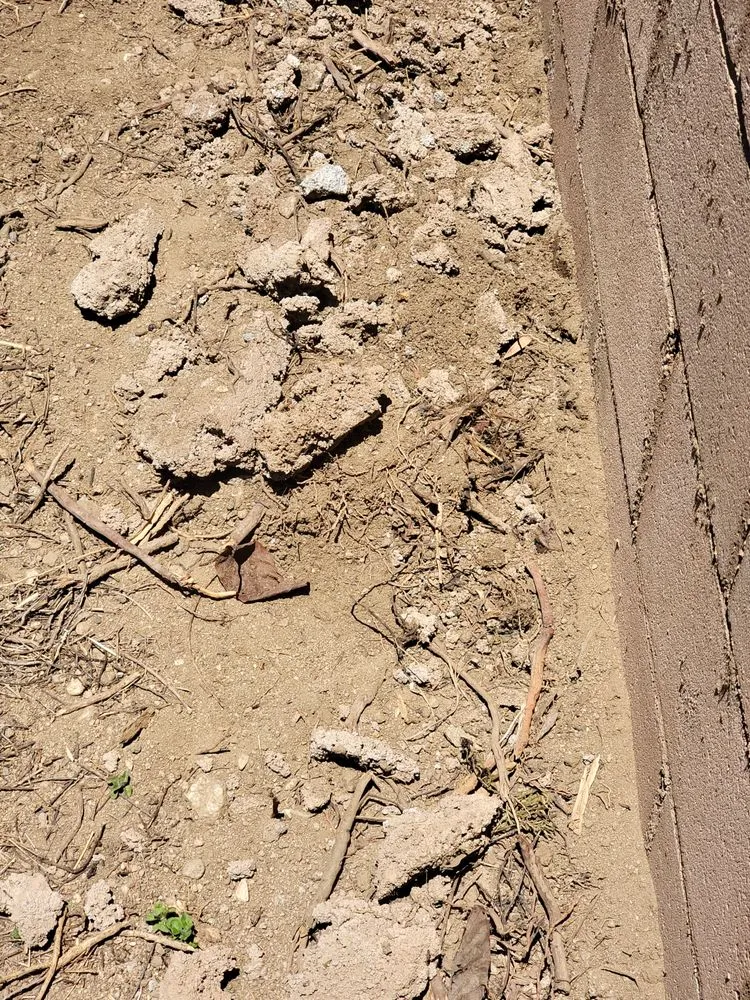 Custom yard cleanup service experts serving Banning, CA - Family lawn Services