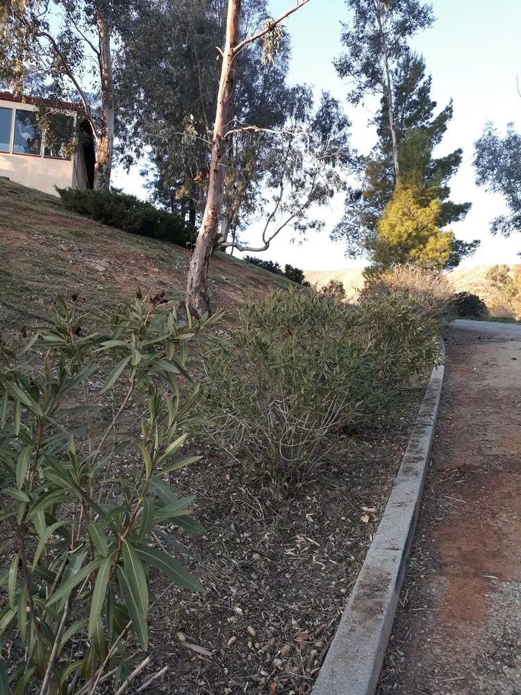 Reliable garden landscaping in Banning, CA - Family lawn Services