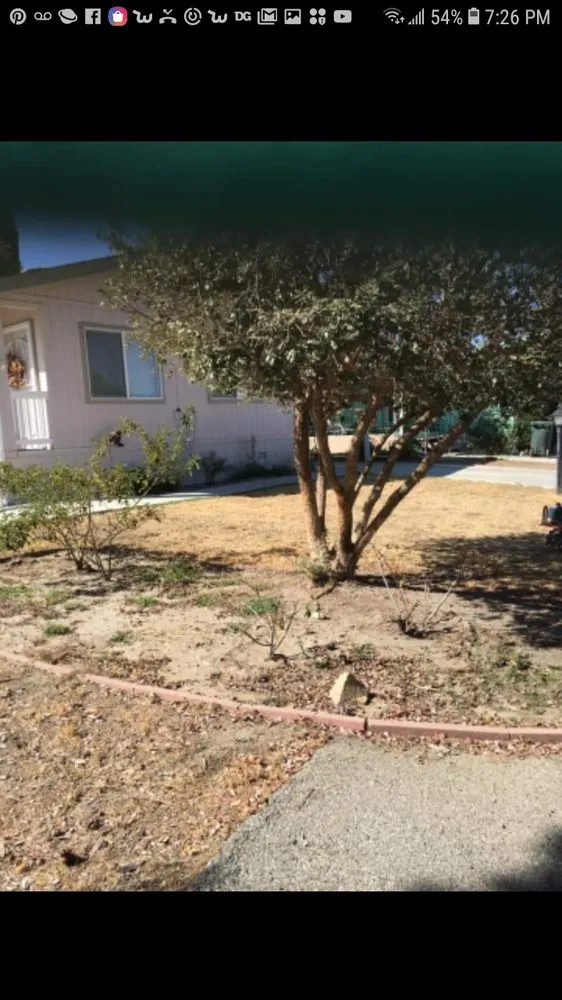 Trusted garden landscaping in Banning, CA by Family lawn Services