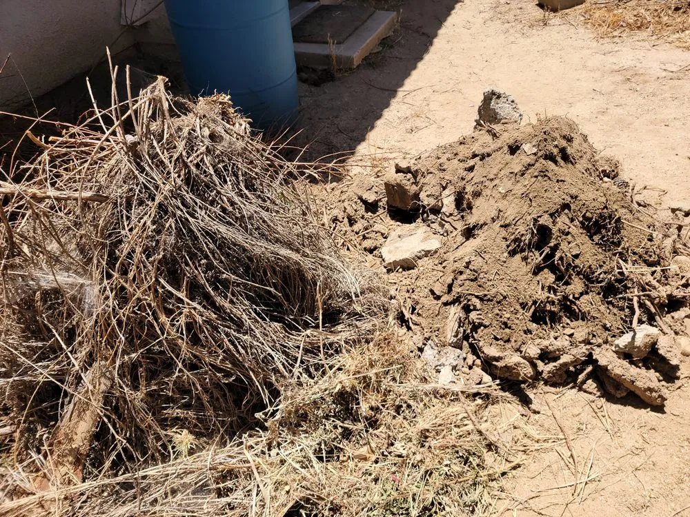 Professional lawn care service experts serving Banning, CA - Family lawn Services