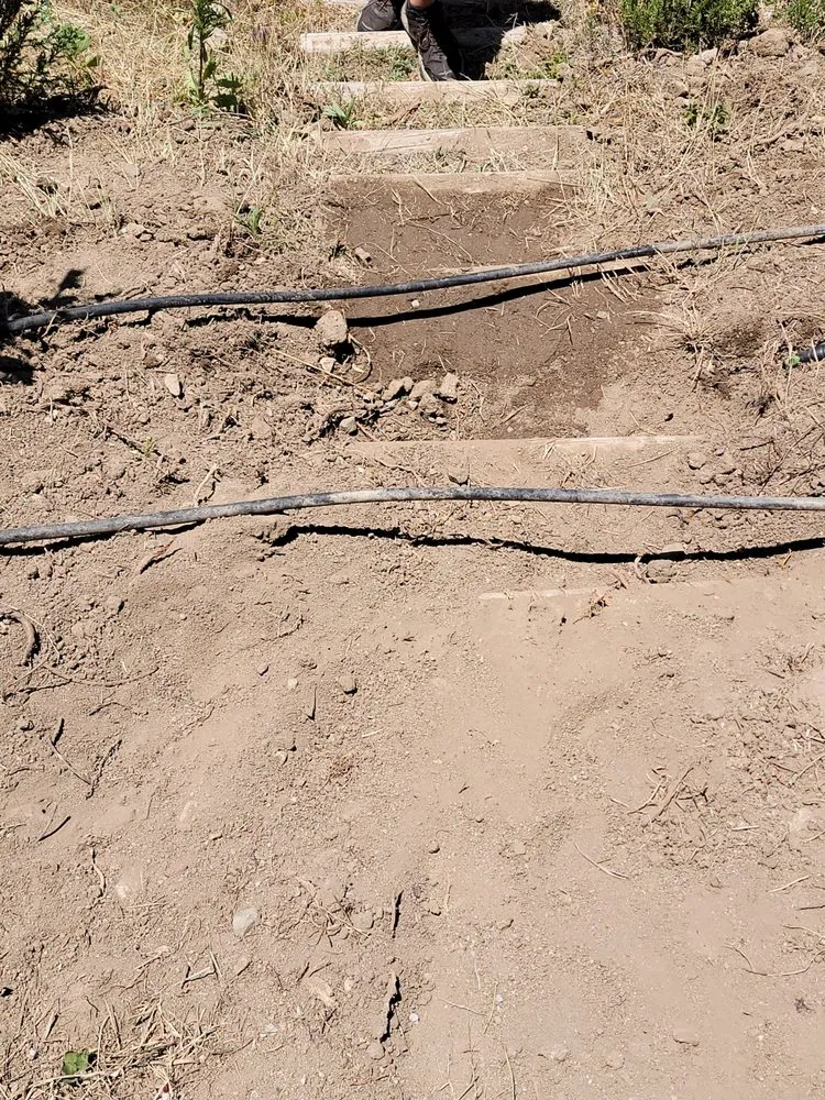 Reliable lawn care service for beautiful yards across Banning, CA - Family lawn Services