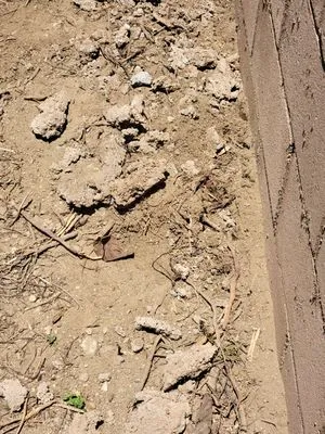 Family lawn Services