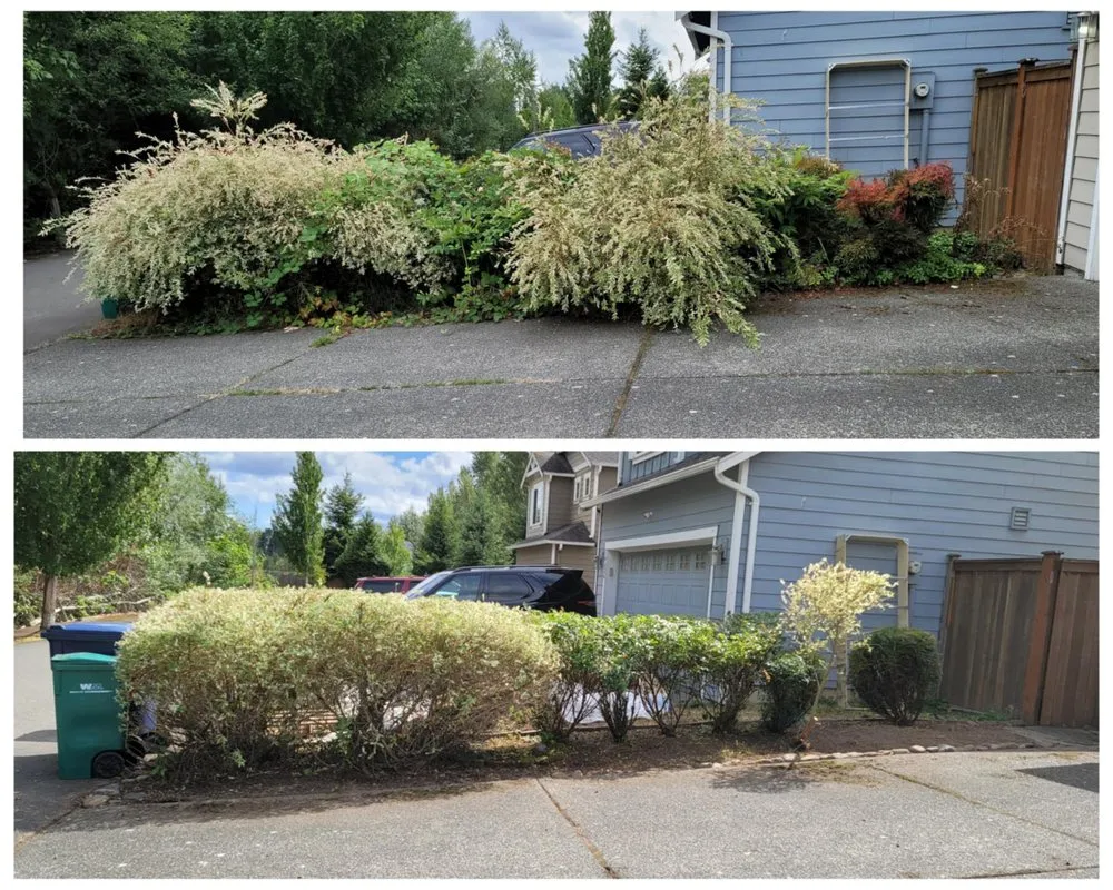 Local landscaping services for year-round maintenance in Everett, WA by Family Lawn Services