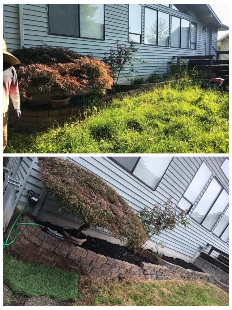 Local residential landscaping experts serving Everett, WA - Family Lawn Services