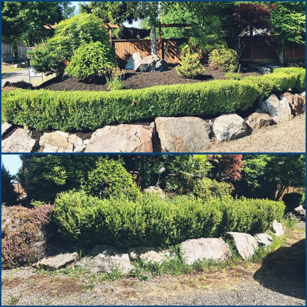 Expert lawn mowing service for homes across Everett, WA - Family Lawn Services