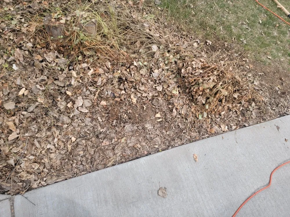 Expert lawn care service in Loveland, CO by Family Matters Landscaping