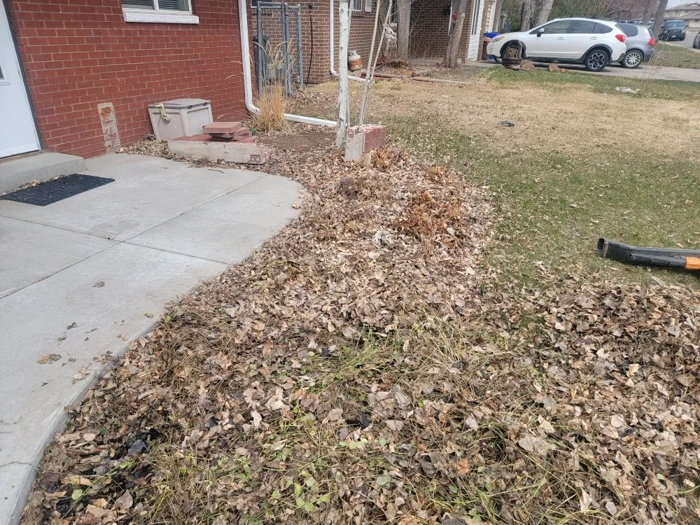 Custom lawn care service for homes across Loveland, CO - Family Matters Landscaping