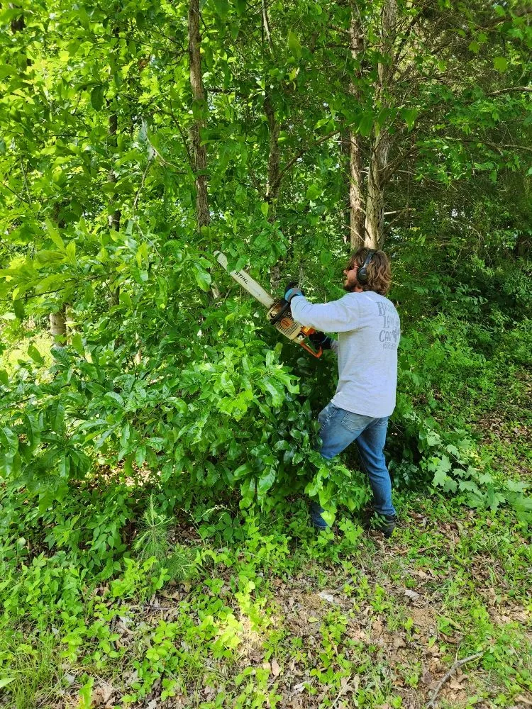 Professional yard cleanup service in Moscow Mills, MO - Family Matters Lawn, Land, & Exteriors