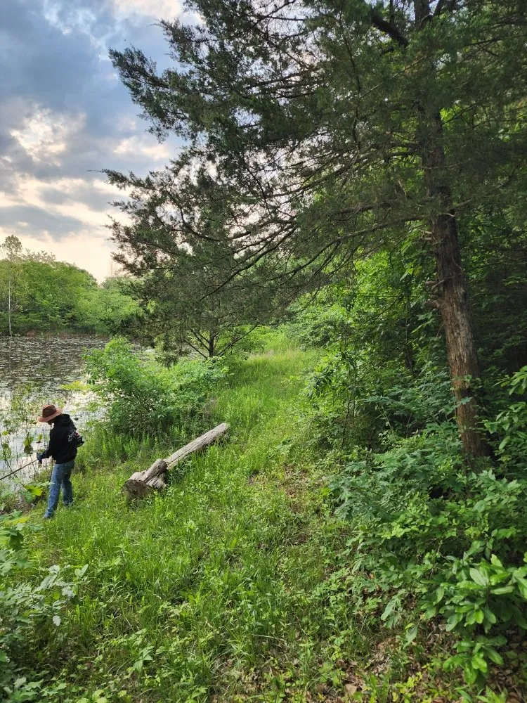 Professional landscape design for year-round maintenance in Moscow Mills, MO by Family Matters Lawn, Land, & Exteriors