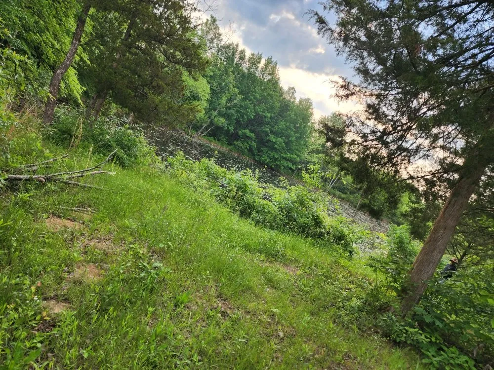 Trusted yard maintenance in Moscow Mills, MO by Family Matters Lawn, Land, & Exteriors