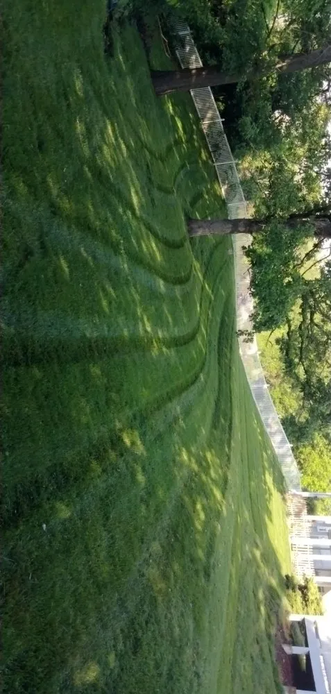 Expert lawn care service near you in Moscow Mills, MO by Family Matters Lawn, Land, & Exteriors