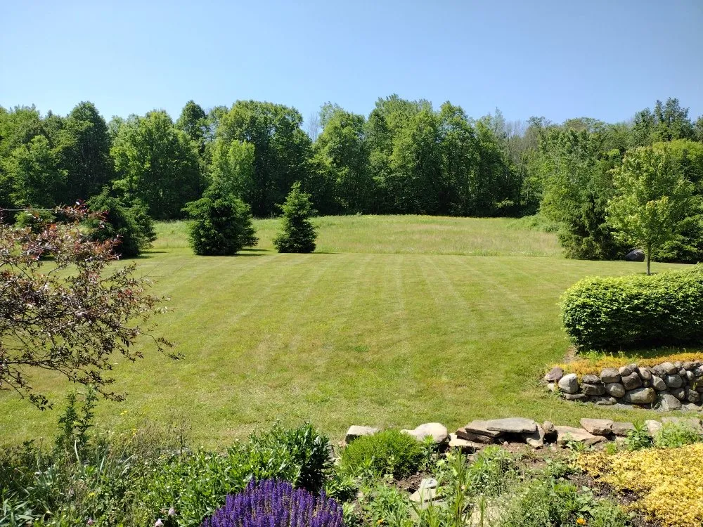 Top-rated lawn care service experts serving Marion, NY - Family Mowers