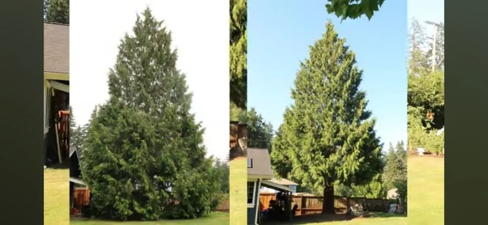 Trusted garden landscaping experts serving Marion, NY - Family Mowers