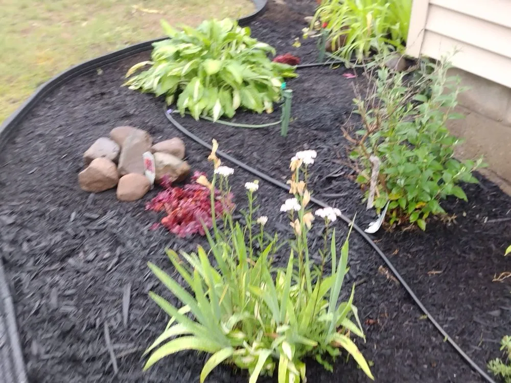 Reliable yard cleanup service for outdoor upgrades across Marion, NY - Family Mowers