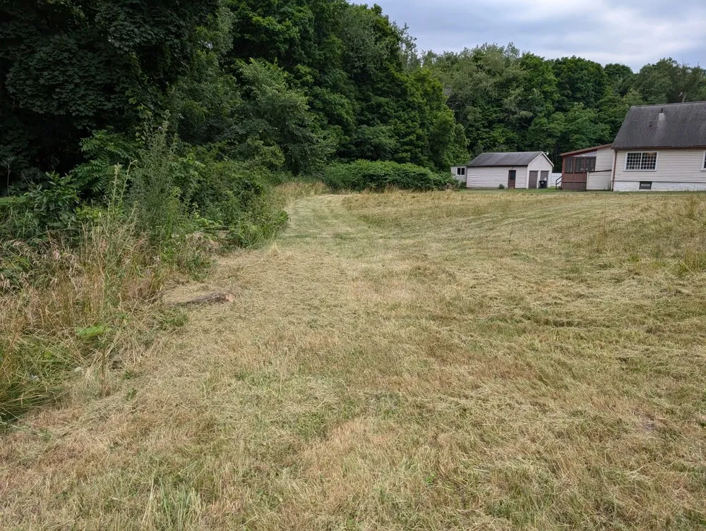 Local lawn care service in Columbiana, OH - Family Mowing