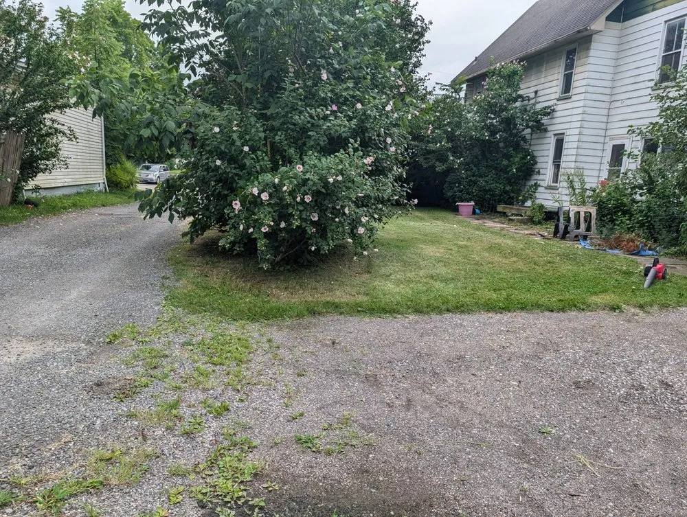 Expert lawn care service with custom design in Columbiana, OH by Family Mowing