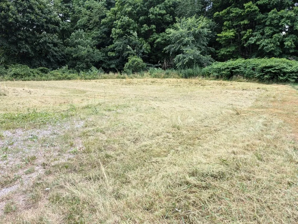 Custom lawn care service in Columbiana, OH - Family Mowing