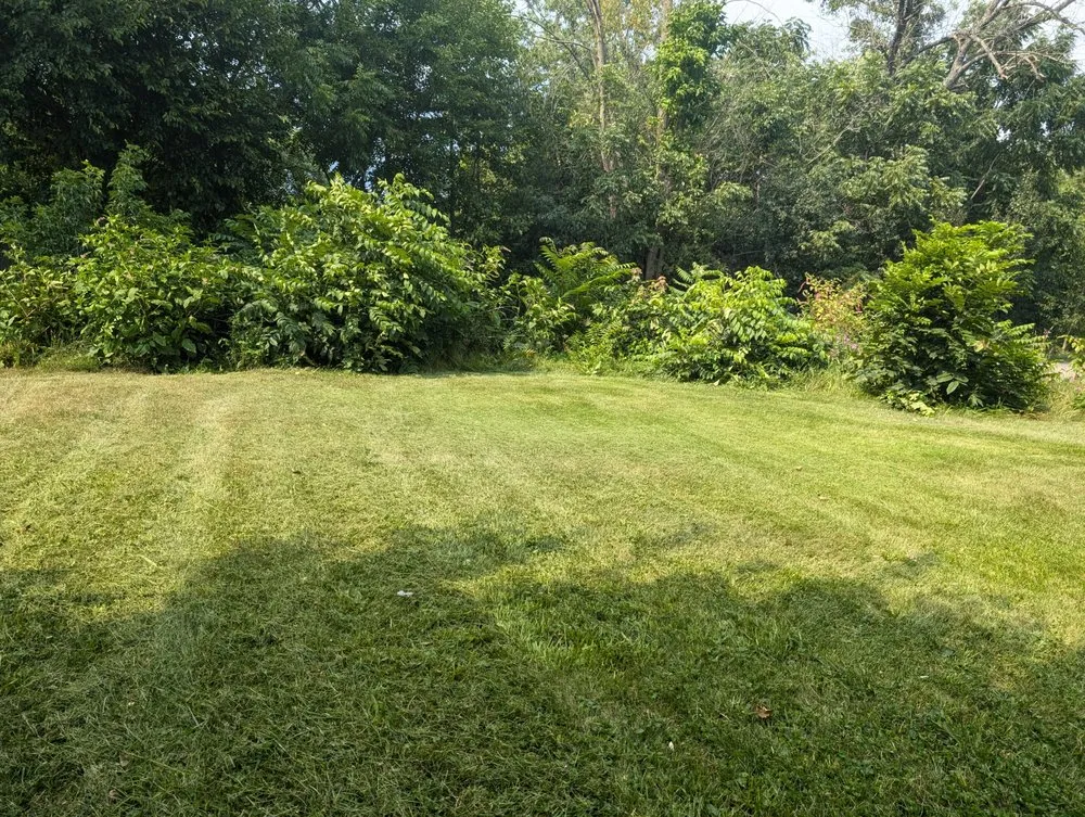 Local yard cleanup service for homes across Columbiana, OH - Family Mowing