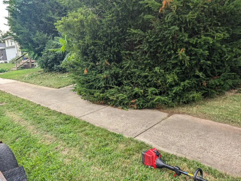 Reliable landscape installation for beautiful yards across Columbiana, OH - Family Mowing